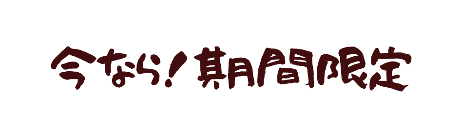 今なら！期間限定